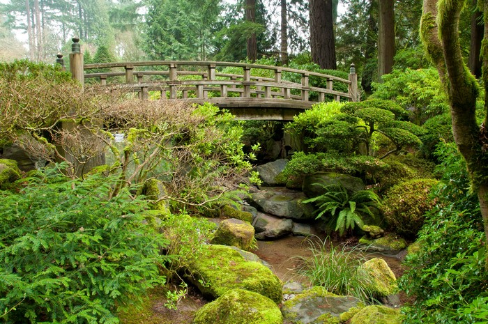 Japanese Garden with Wooden Bridge and Mossy Stones