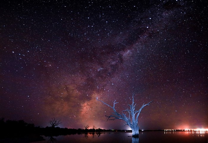 Milky Way over dead tree in water