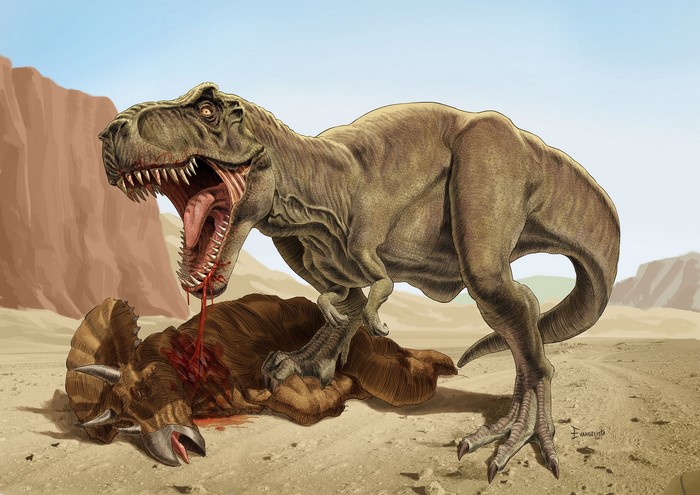 Tyrannosaurus Rex Eating a Triceratops