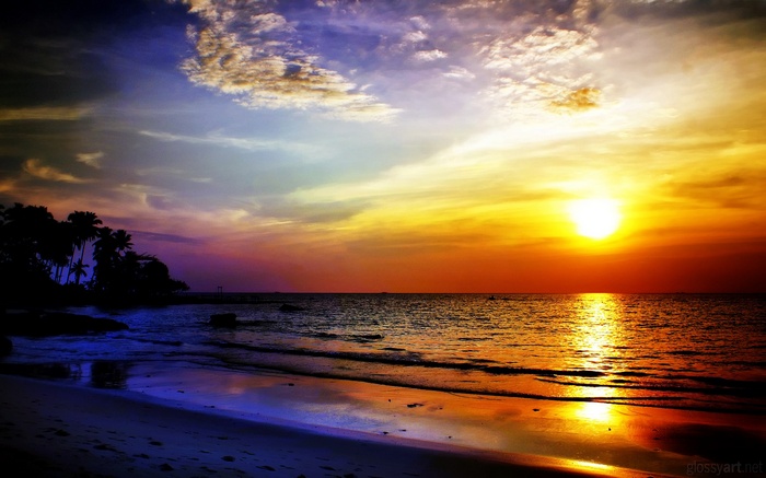 Sunset over a tropical beach with palm trees