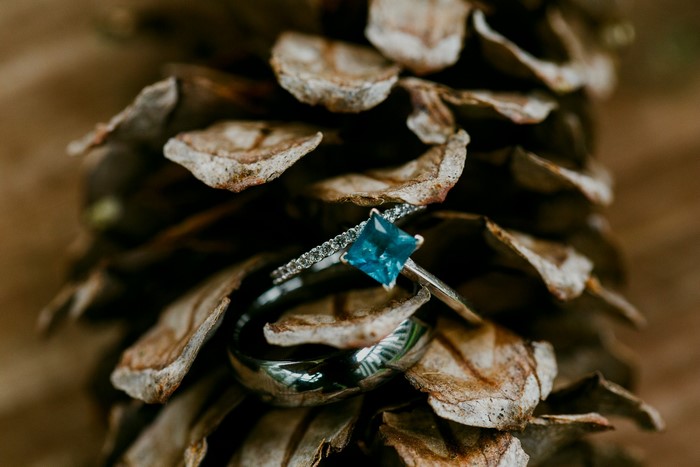 Two rings on a pine cone