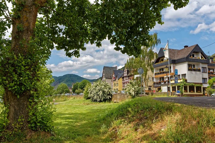 Houses and trees in Ediger-Eller, Germany