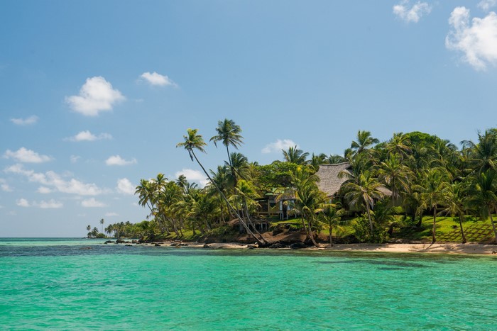 Tropical coast with palm trees and turquoise water