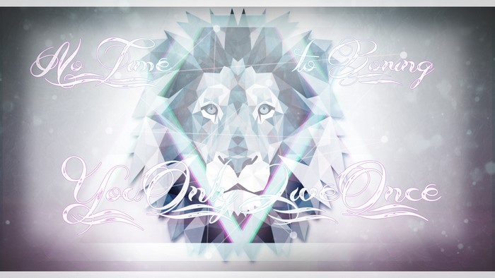 Lion Head with Text "No Time to Boring YOLO"