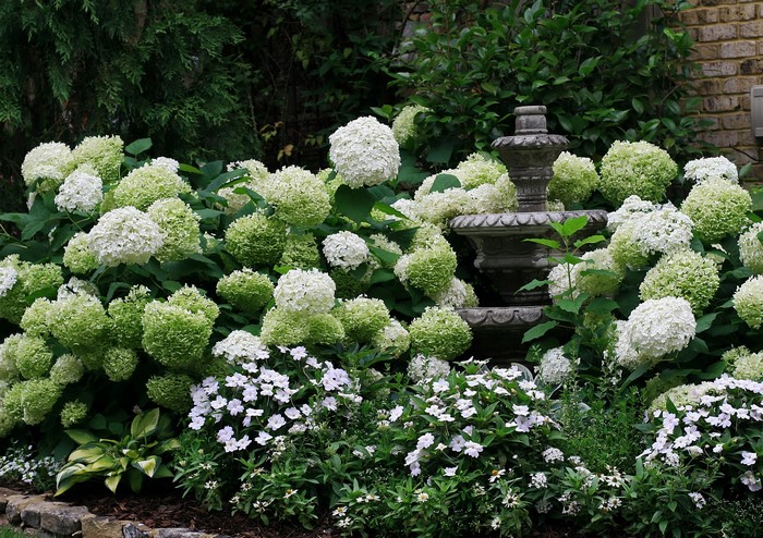 Garden with Hydrangeas and a Fountain