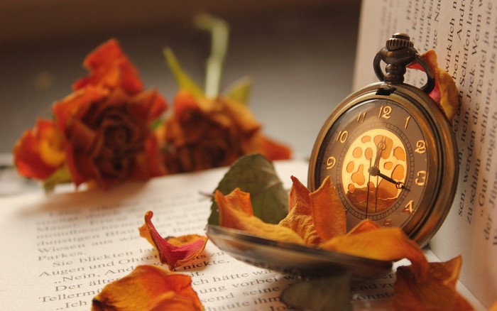 Pocket watch on a book with dried flowers