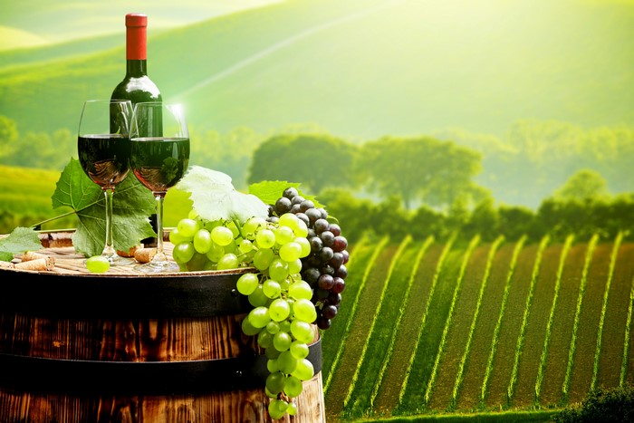 Wine bottle and glasses with grapes on barrel in vineyard