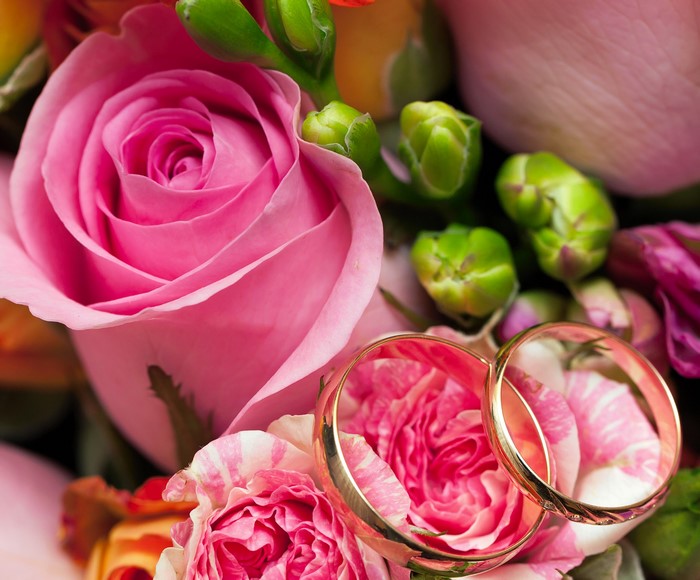 Wedding rings on pink roses