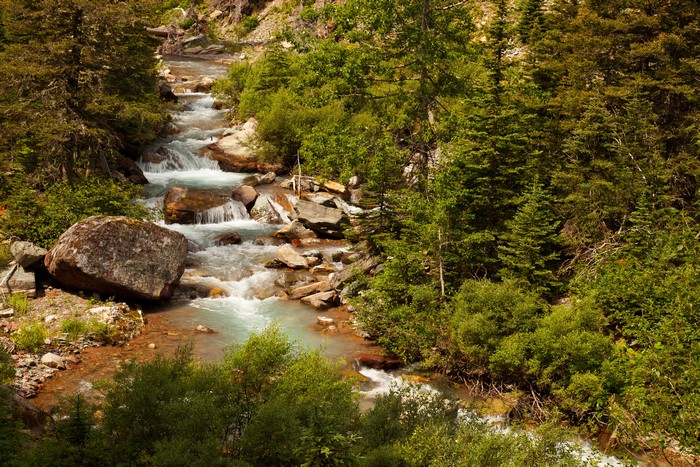 Mountain stream flowing through a forest with rocks