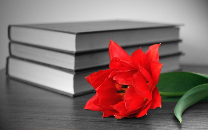 Red tulip and stack of books