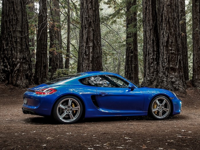 Blue 2014 Porsche Cayman GTS in a forest