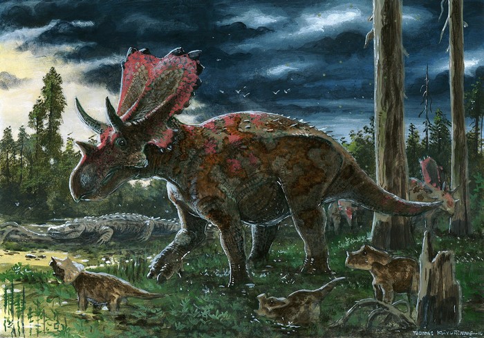 Mercuriceratops dinosaurs in a prehistoric forest