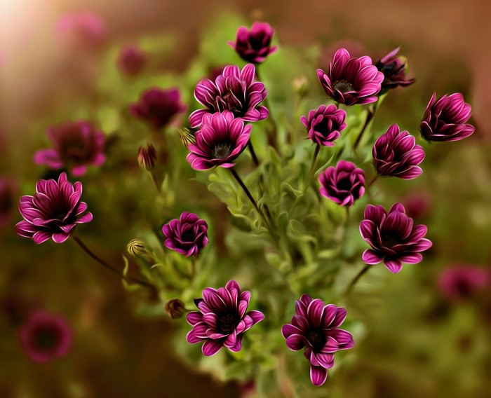 Purple flowers with green leaves