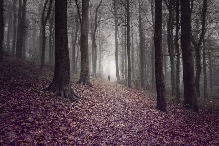 Man walking on a path in a foggy autumn forest