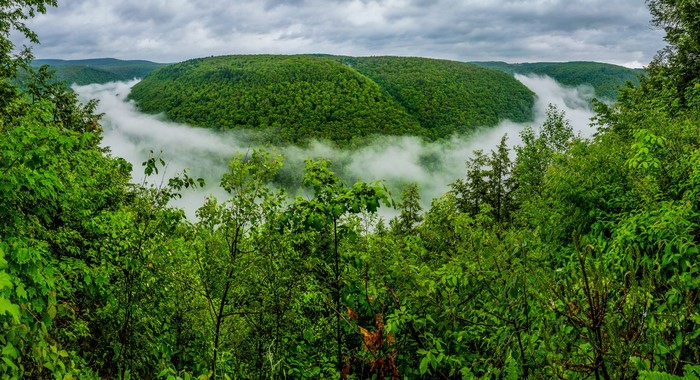 Pine Creek Gorge with Fog in Pennsylvania