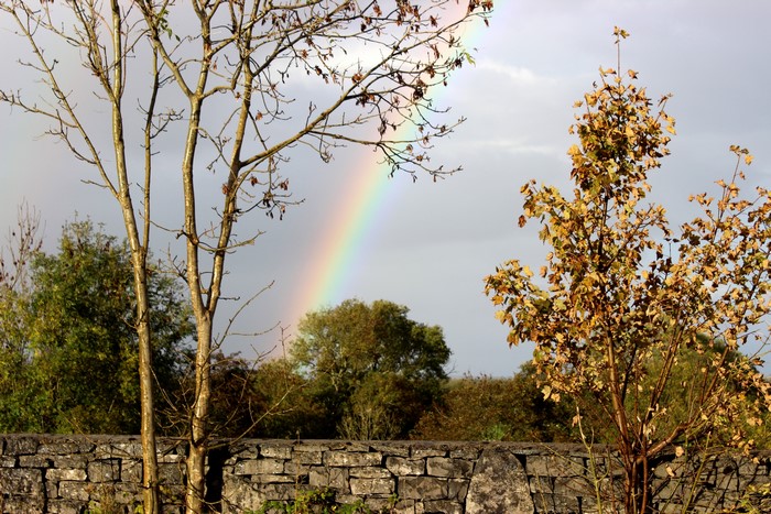 Rainbow over trees and stone wall