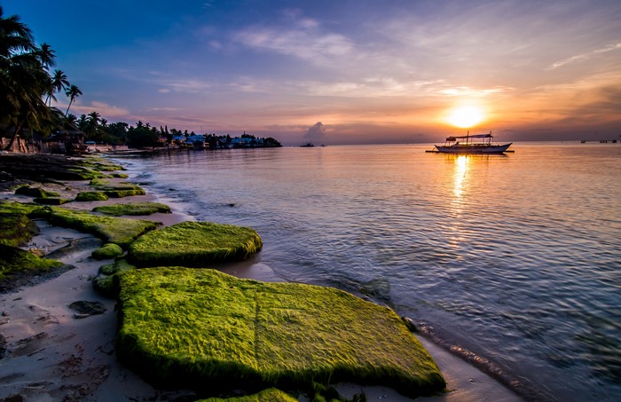 Sunrise over the sea with mossy rocks on the coast