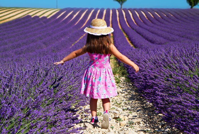 Girl in straw hat walking through lavender field
