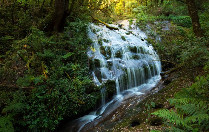 Waterfall in a Tropical Forest in Thailand