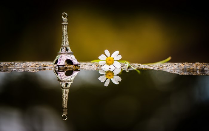 Eiffel Tower souvenir and daisy reflected in water