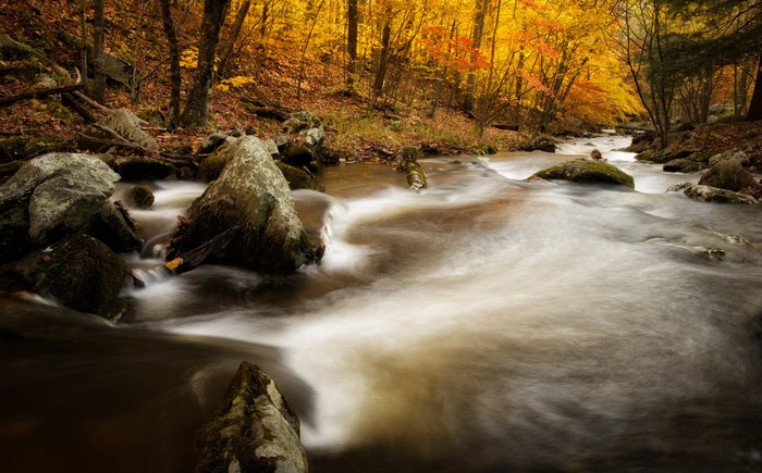 River flowing through autumn forest in Macedonia Brook State Park