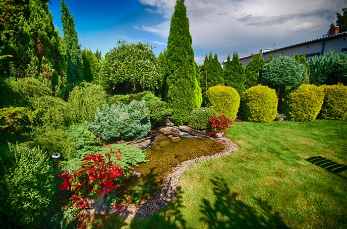 Manicured garden with a pond and various shrubs