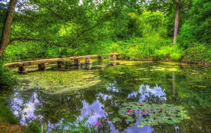 Stone bridge over a pond with water lilies