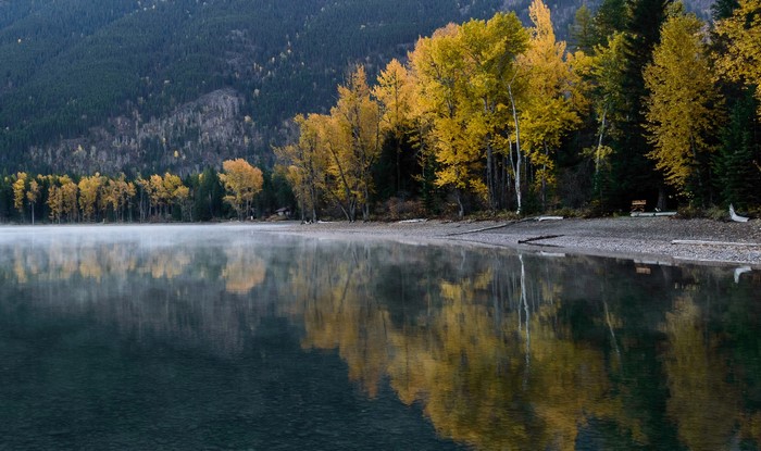 Lake with autumn trees and mist