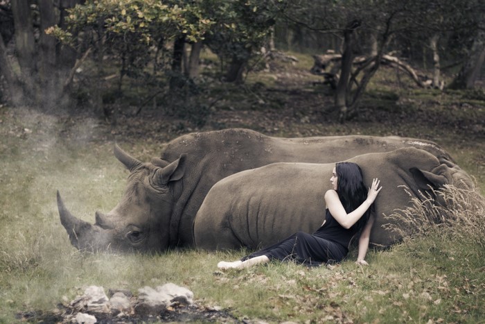Woman resting with rhinos in a forest