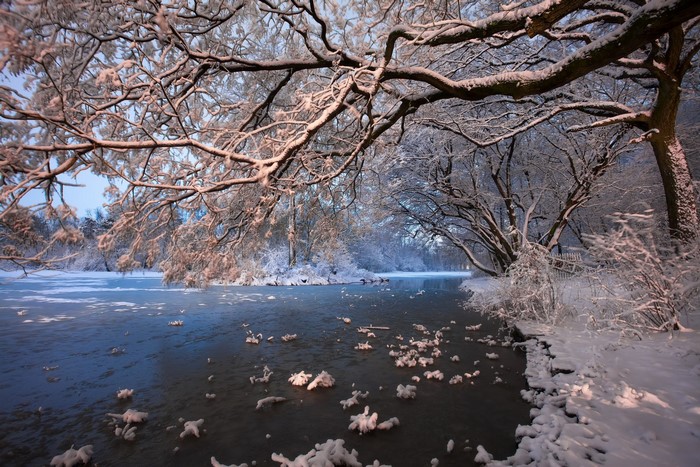 Snow-covered trees over a frozen river