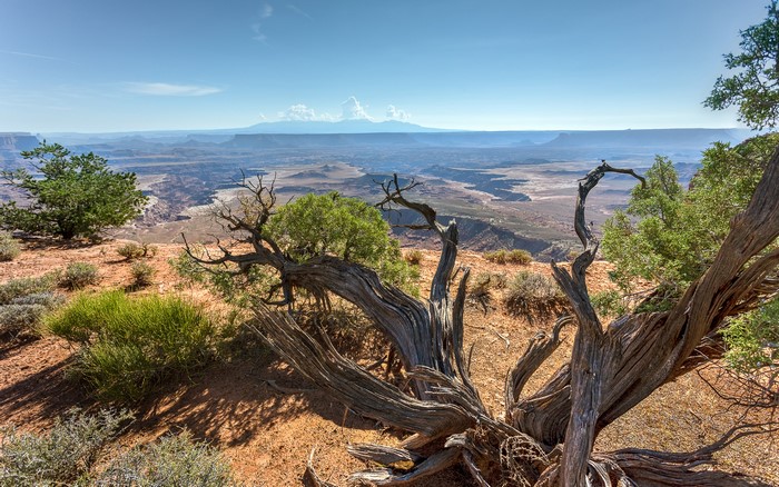 Canyonlands National Park Utah USA