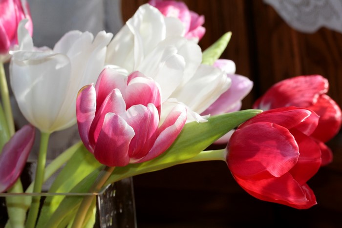 Close-up of a bouquet of colorful tulips