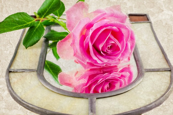Pink rose reflected in a stained glass frame