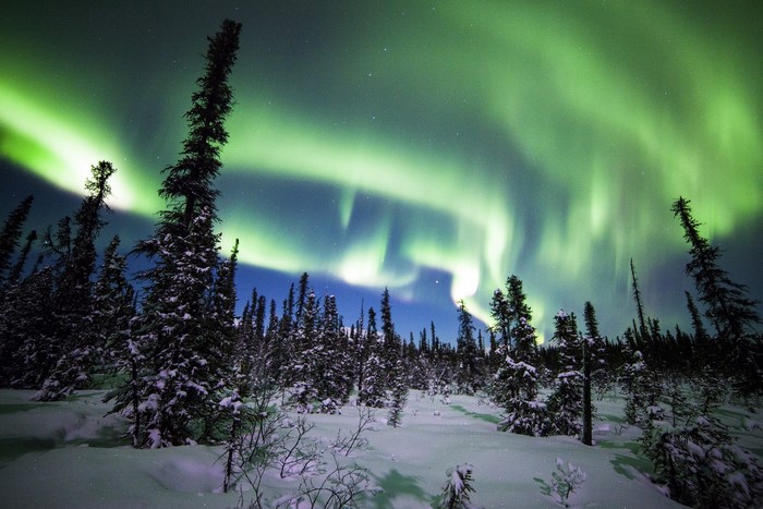 Aurora Borealis over Denali National Park, Alaska
