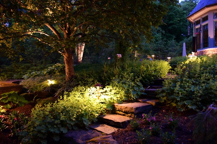 Illuminated Garden Stairs and Trees at Night