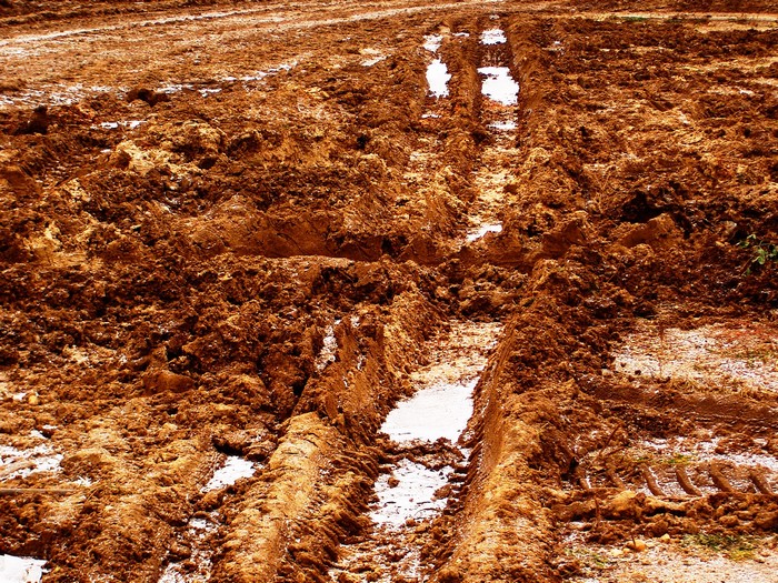 Muddy ground with tire tracks and puddles