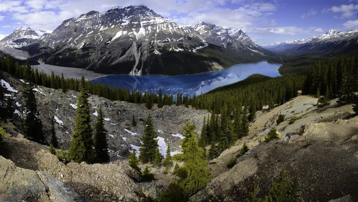 Peyto Lake in Banff National Park, Canada