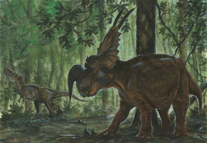 Styracosaurus and Albertosaurus in a forest