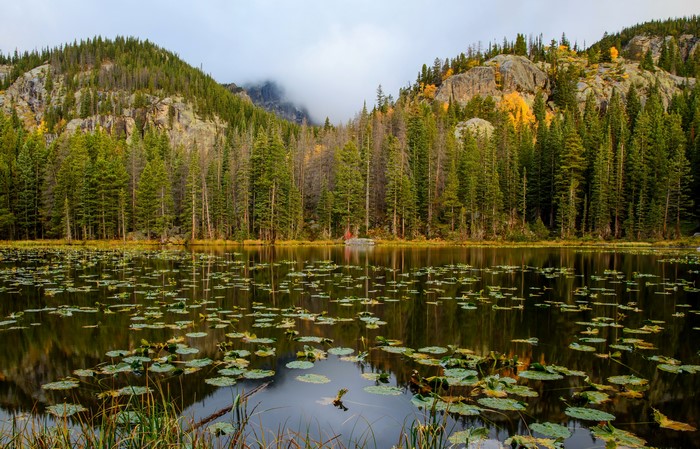 Nymph Lake Rocky Mountain National Park USA