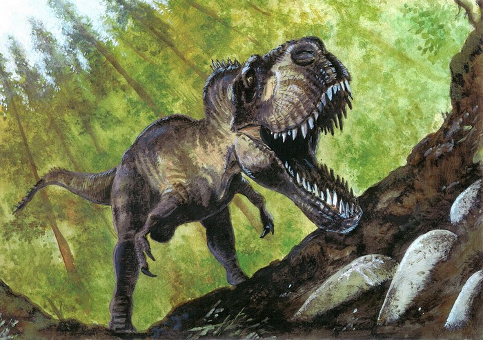 Tyrannosaurus Rex in a Forest