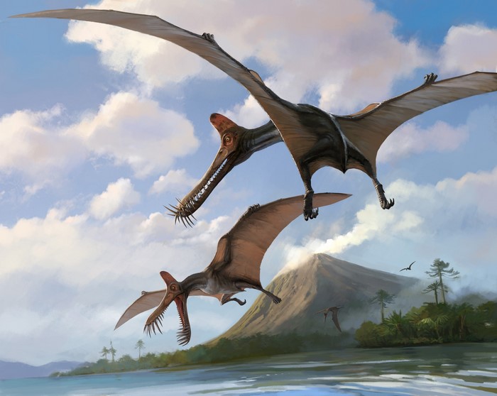 Pterosaurs flying over a prehistoric landscape with a volcano