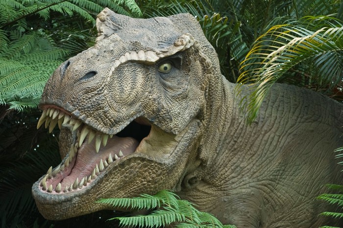 Tyrannosaurus Rex in a prehistoric jungle