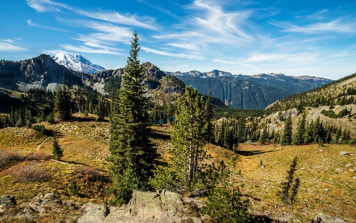 Mount Rainier National Park with Mountain Range and Forest