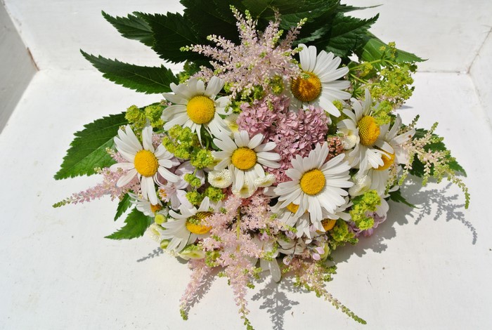 Bouquet of Chamomile Flowers with Pink Astilbe and Greenery