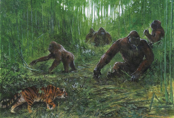 A tiger and several apes in a bamboo forest
