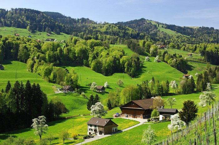 Green rolling hills with scattered houses and trees