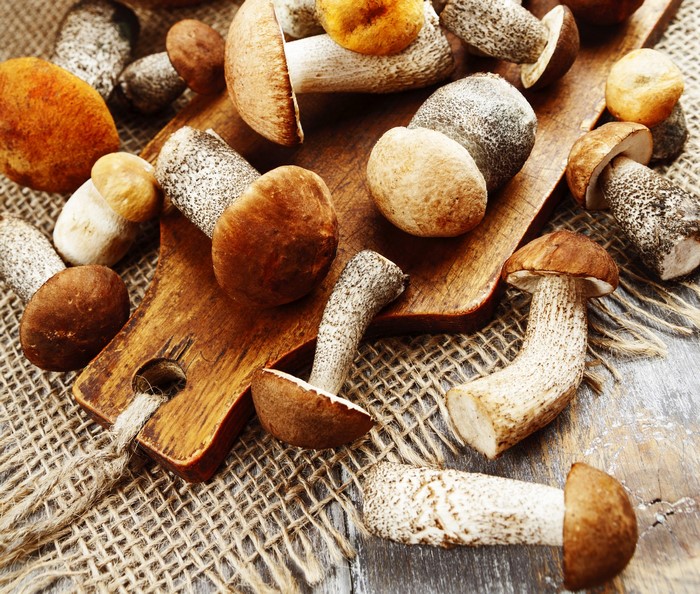 A collection of fresh mushrooms on a wooden board