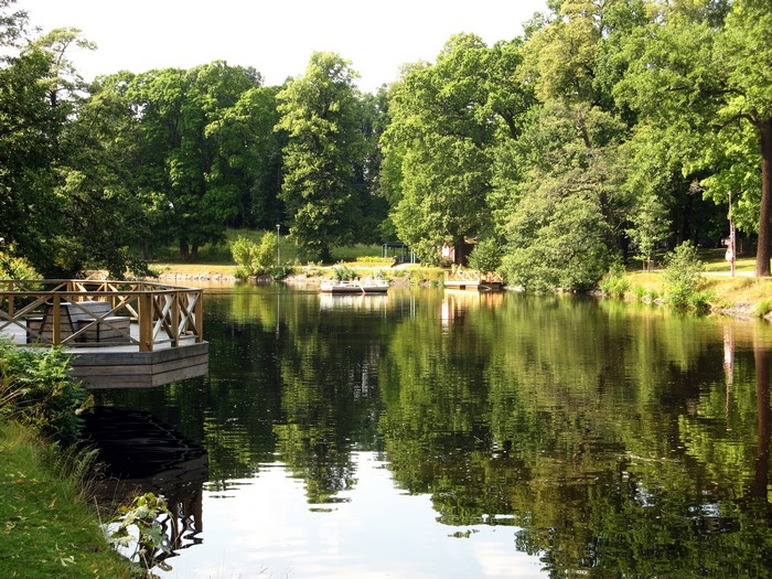 Wooden deck by a lake with trees in Orebro, Sweden