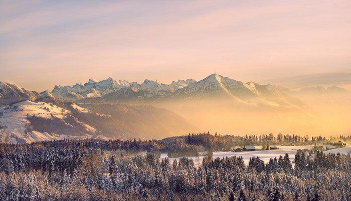 Snowy mountains and forests at sunset