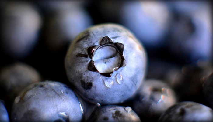 Close-up of fresh blueberries with water droplets